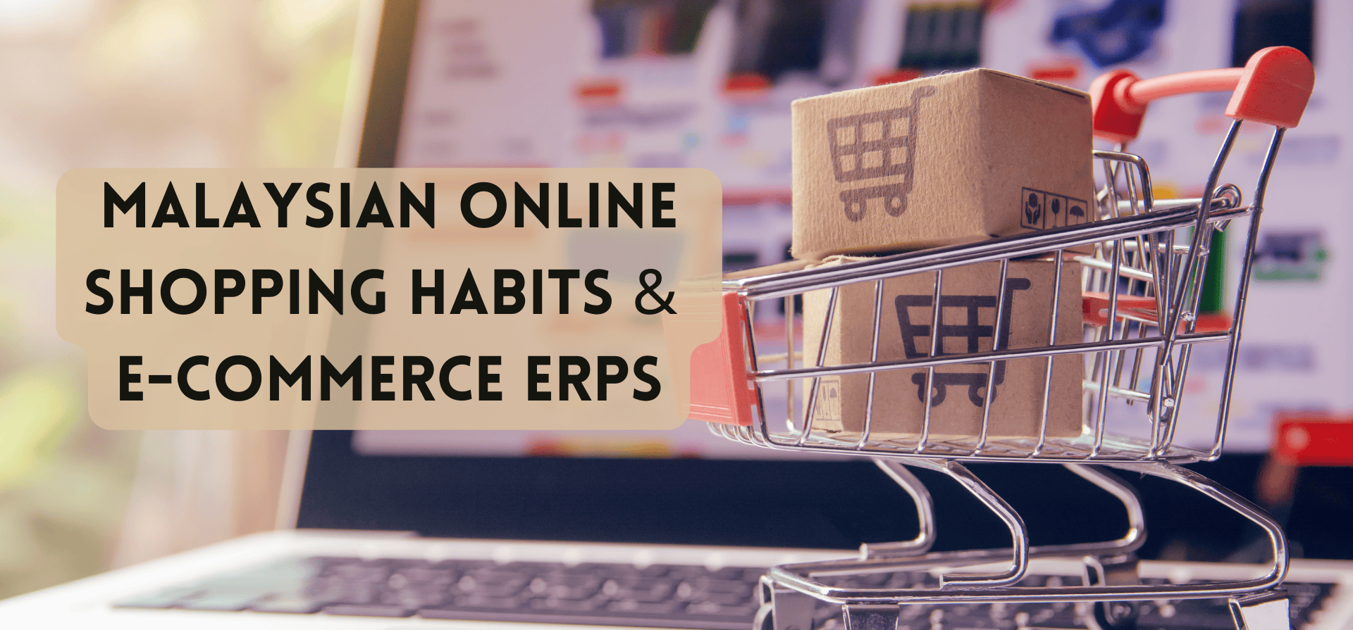 Understanding Malaysian Online Shopping Habits Through Shopee and E-commerce ERPs