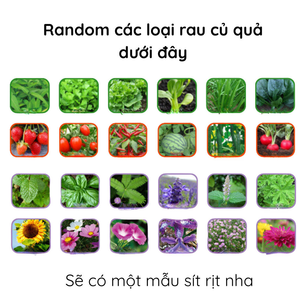 20250506085552f0b4ca65f2ea730fa65b9319e09e8073.jpg