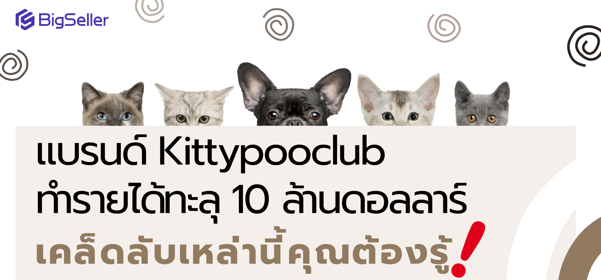 แบรนด์ Kittypooclub ทำรายได้ทะลุ 10 ล้านดอลลาร์ เคล็ดลับเหล่านี้คุณต้องรู้!