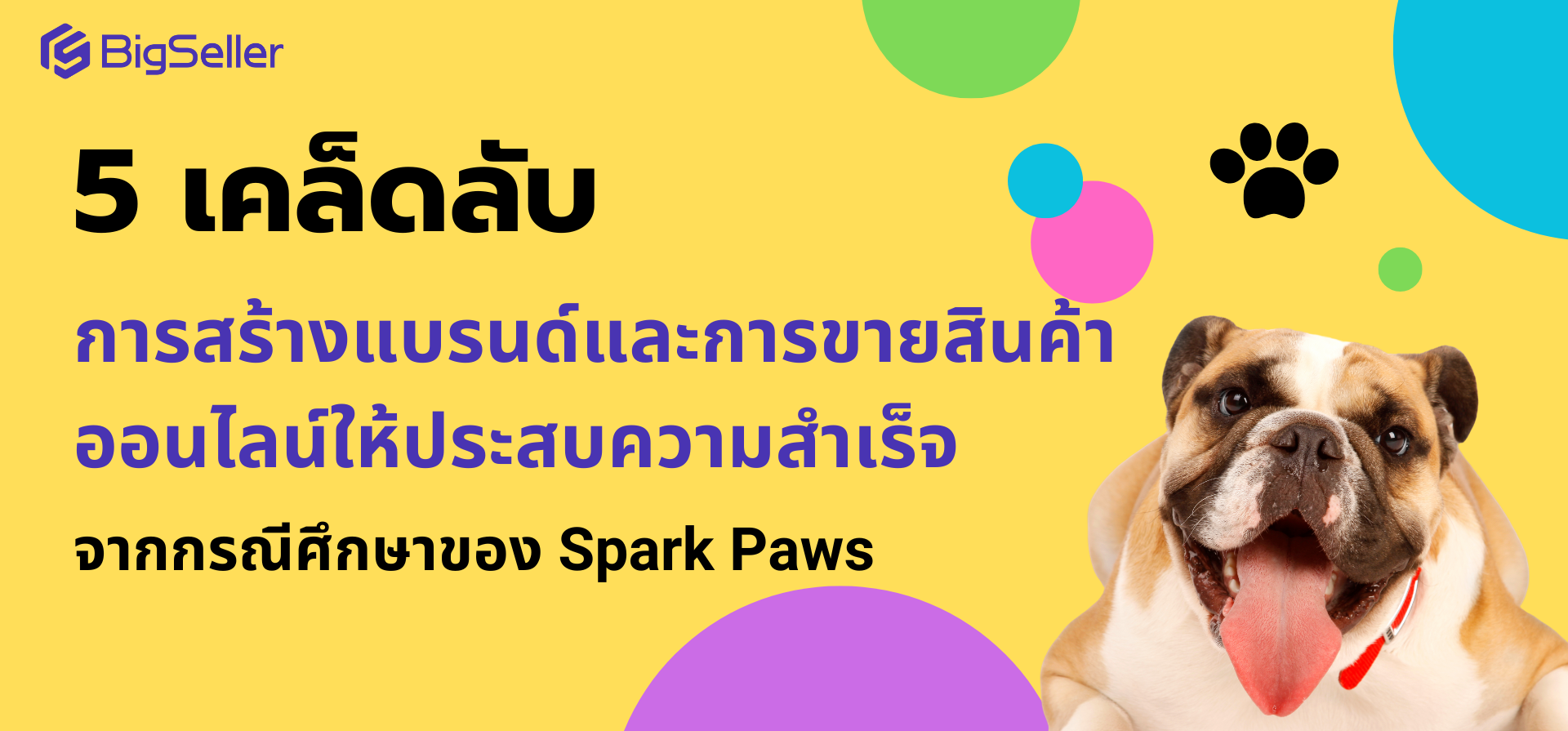 5 เคล็ดลับการสร้างแบรนด์และการขายสินค้าออนไลน์ให้ประสบความสำเร็จจากกรณีศึกษาของ Spark Paws