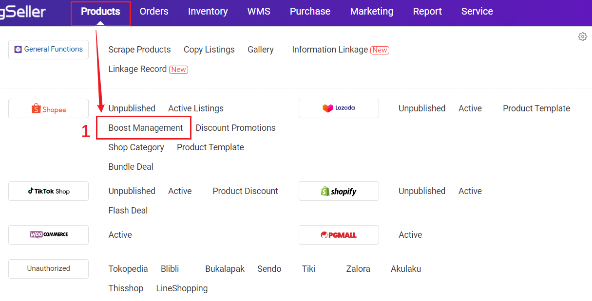 BigSeller Boost Management Feature for Shopee