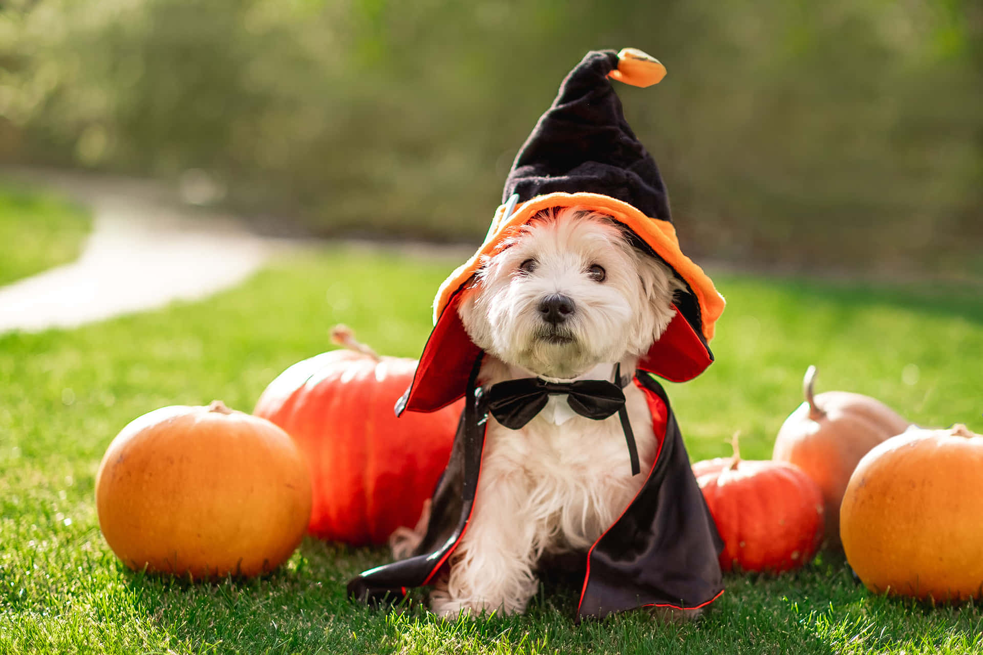 Top Halloween products that will sell fast on Shopee & Lazada 2025
